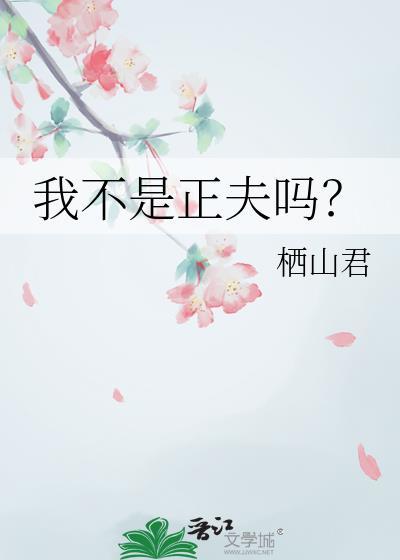 我不是正夫吗？
