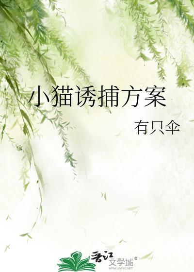 小猫诱捕方案